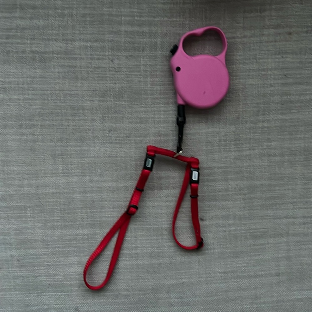 Pink and red cat or small dog harness leash